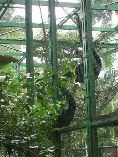 n_HongKong mei 2008 025.jpg